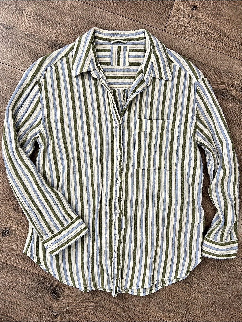 Aerie Men's Striped Button Down in Green & Blue